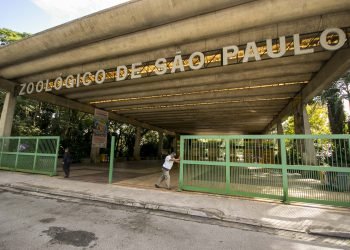 Zoológico de São Paulo