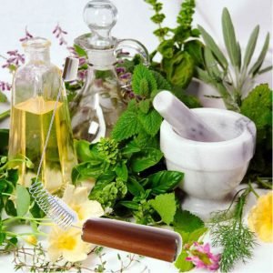 Leia mais sobre o artigo Curso de Bio Energia e Plantas Medicinais 2019