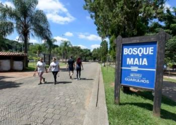 Bosque Maia