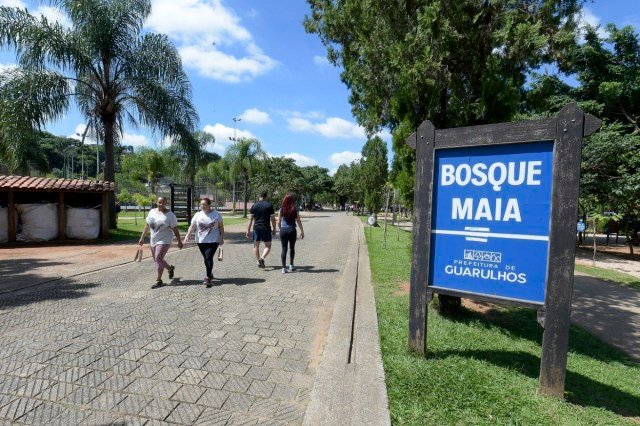 Leia mais sobre o artigo Bosque Maia