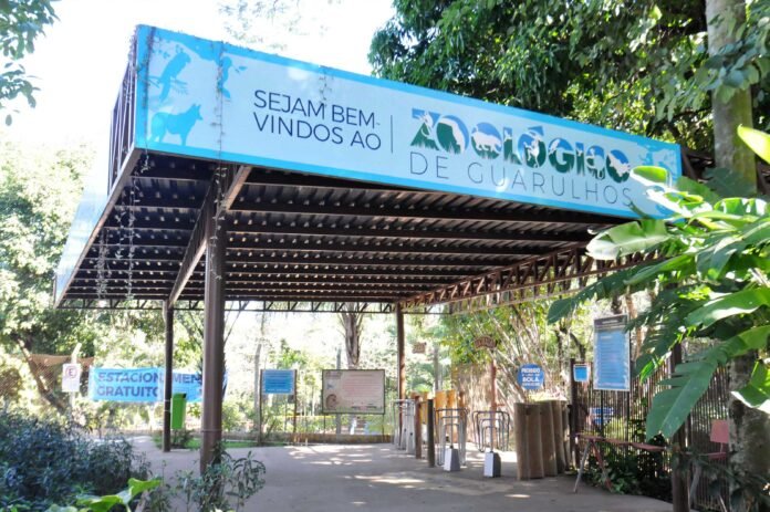 Leia mais sobre o artigo Zoológico de Guarulhos