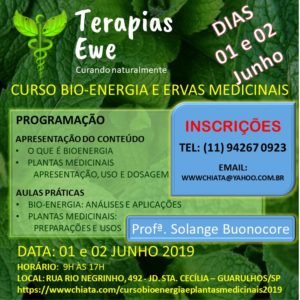 Leia mais sobre o artigo Curso Bio Energia e Plantas Medicinais